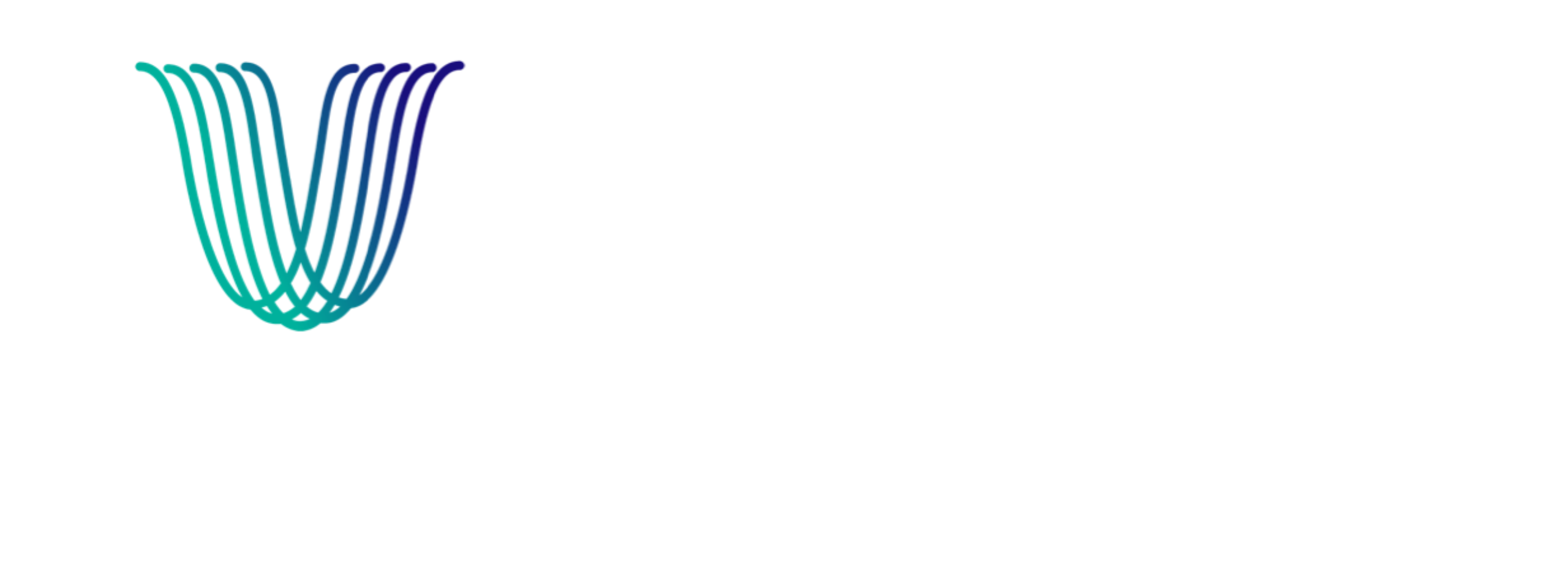 Voicesense Partner Logo